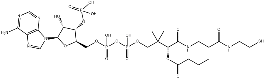 [5-(6-aminopurin-9-yl)-2-[[[[3-[2-(2-butanoylsulfanylethylcarbamoyl)ethylcarbamoyl]-3-hydroxy-2,2-dimethyl-propoxy]-hydroxy-phosphoryl]oxy-hydroxy-phosphoryl]oxymethyl]-4-hydroxy-oxolan-3-yl]oxyphospho<i></i>nic acid, 2140-48-9, 结构式