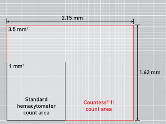 graphic showing larger counting area of Countess II FL compared to hemocytometers