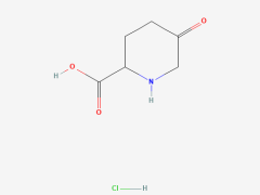5-氧代哌啶-2-羧酸盐酸盐、99980-20-8 CAS查询、5-氧代哌啶-2-羧酸盐酸盐物化性质