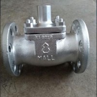 日本TLV阀门止回阀 进口日本TLV升降式止回阀