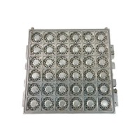 Hot Selling Highly Popular Food-Grade Customizable and Degradable Vacuum Thermoforming Salad Product