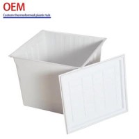 Custom Vacuum Forming Thermoforming Plastic Inner Liner for Refrigerator