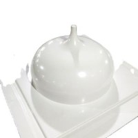 Vacuum Thermoforming Plastic Products for Car Accessory