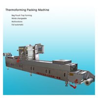 High Quality Industrial Vacuum Packing Thermoforming Machine Automatic Flexible Film Thermoformer fo