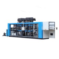 Automatic Vacuum Plastic Thermoforming Machine PVC PET PP PS New Condition Fast Food Box Cup EPS HIP