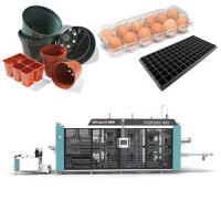 Four-station Plastic Positive and Negative Pressure Thermoforming Machine BLISTER MACHINE Multi-Stat