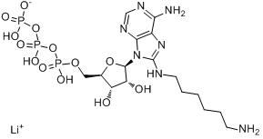 8-[（6-氨基己基）氨基]-腺苷5'-（三磷酸四氢）三锂盐（9CI）、102029-46-9 CAS查询、8-[（6-氨基己基）氨基]-腺苷5'-（三磷酸四氢）三锂盐（9CI）物