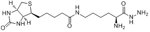 N-生物素酰基-L-赖氨酸酰肼,25mg