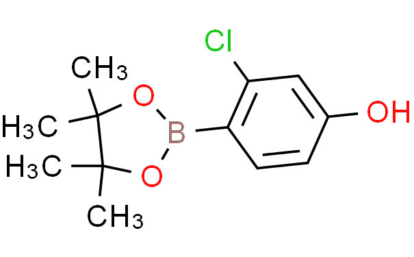 2-氯-4-羟基苯硼酸频那醇酯,100mg