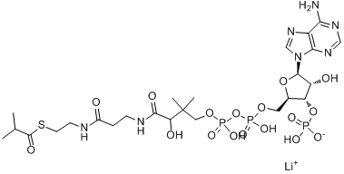 C4:0、103404-95-1 CAS查询、C4:0物化性质