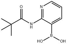 2-[(2,2-DiMethylpropanoyl)aMino]pyridin-3-boronic acid,1g