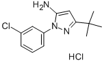 5-叔丁基-2-(3-氯-苯基)-2H-吡唑-3-胺盐酸盐,1g