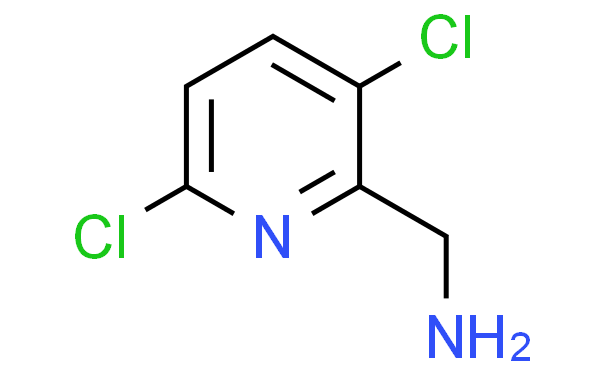 (3,6-二氯吡啶-2-基)甲胺,1g