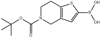 5-(叔丁氧羰基)-3A,4,5,6,7,7A-六氢噻吩并[3,2-C]吡啶-2-基硼酸,1g