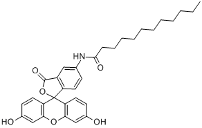 5-十二烷酰氨基荧光素、107827-77-0 CAS查询、5-十二烷酰氨基荧光素物化性质