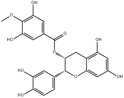 （-）-表儿茶素3-（4-O-甲基）没食子酸酯,1mg