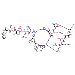 sarafotoxin S6b