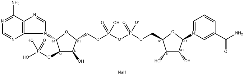 β-烟酰胺腺嘌呤二核苷酸磷酸钠盐(NADP),5g