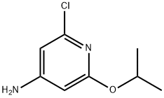 2-氯-6-异丙氧基吡啶-4-胺,1g