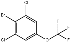 2-溴-1,3-二氯-5-三氟甲氧基苯,1g