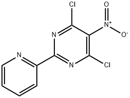 4,6-二氯-5-硝基-2-(吡啶-2-基)嘧啶,1g