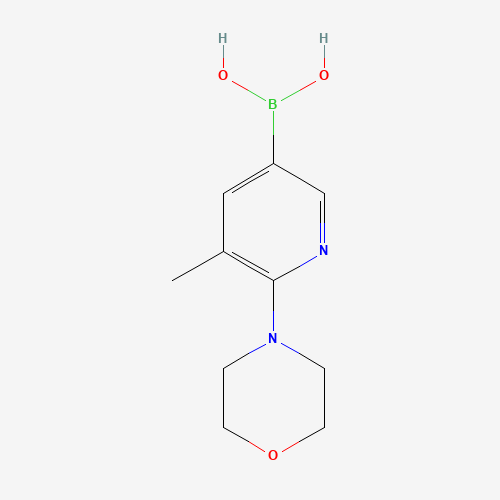 (5-Methyl-6-morpholinopyridin-3-yl)boronic acid