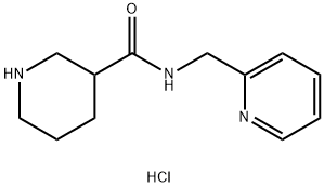 N-(2-Pyridinylmethyl)-3-piperidinecarboxamidehydrochloride,1g