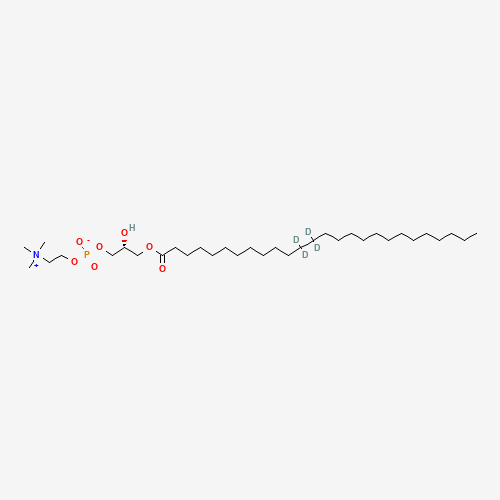 1-HEXACOSANOYL-D4-2-HYDROXY-SN-GLYCERO-3-PHOSPHOCHOLINE;26:0-D4 LYSO PC,1mg