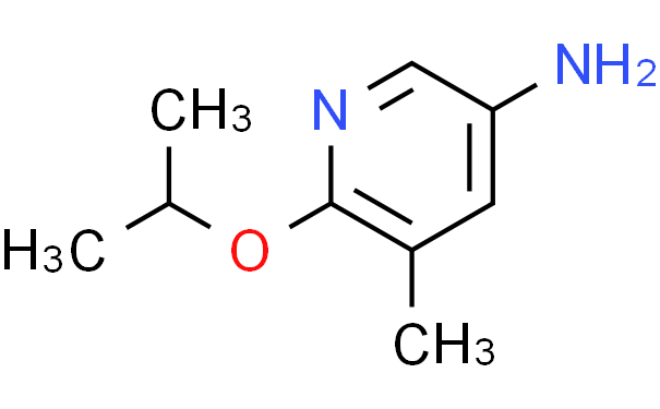 6-异丙氧基-3-氨基-5-甲基吡啶,1g