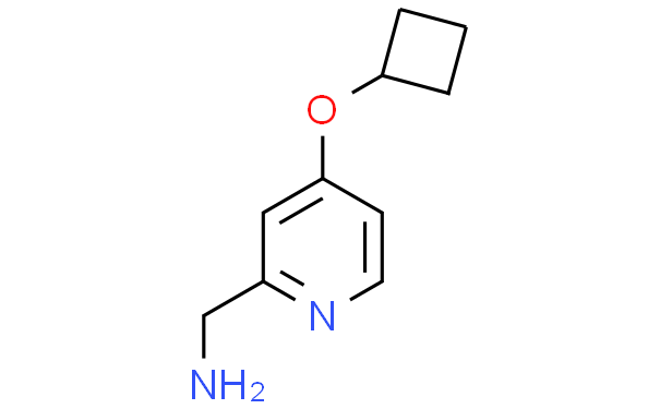 (4-Cyclobutoxypyridin-2-yl)methanamine,1g