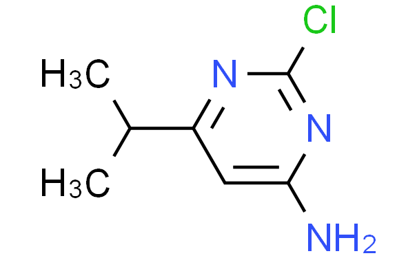 2-氯-6-异丙基嘧啶-4-胺,1g
