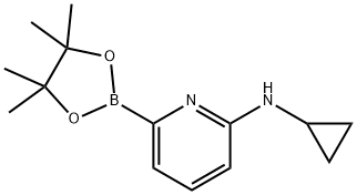 N-Cyclopropyl-6-(4,4,5,5-tetramethyl-1,3,2-dioxaborolan-2-yl)pyridin-2-amine,1g