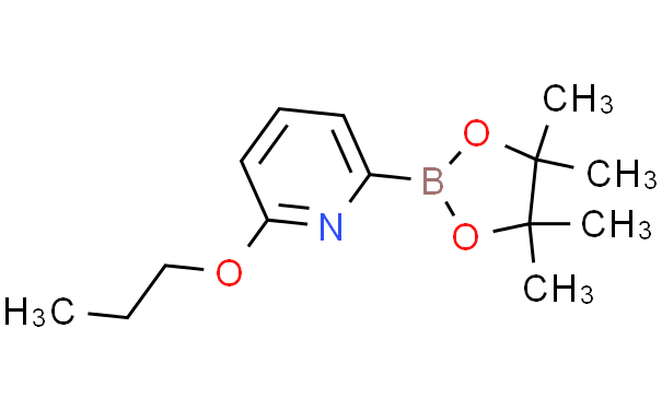 6-(N-PROPOXY)PYRIDINE-2-BORONIC ACID PINACOL ESTER,1g