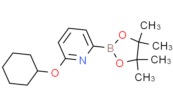 6-(CYCLOHEXYLOXY)PYRIDINE-2-BORONIC ACID PINACOL ESTER,1g