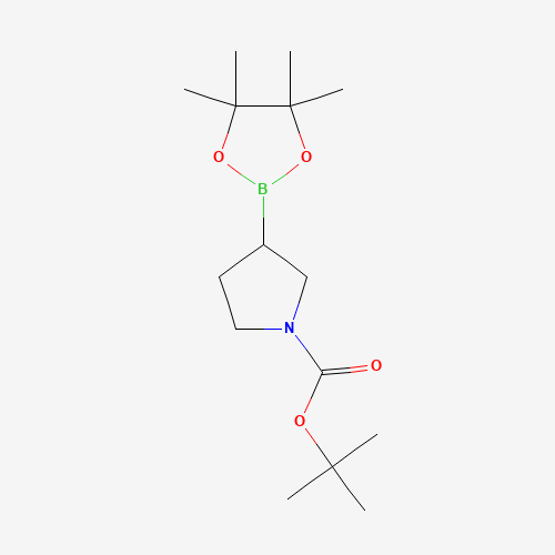 tert-Butyl 3-(4,4,5,5-tetramethyl-1,3,2-dioxaborolan-2-yl)pyrrolidine-1-carboxylate