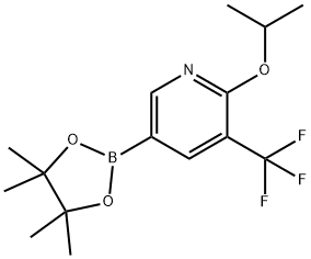 2-异丙氧基-5-(4,4,5,5-四甲基-1,3,2-二氧杂环戊硼烷-2-基)-3-(三氟甲基)吡啶,1g