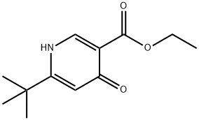 6-叔丁基-4-氧代-1,4-二氢吡啶-3-羧酸乙酯,5g