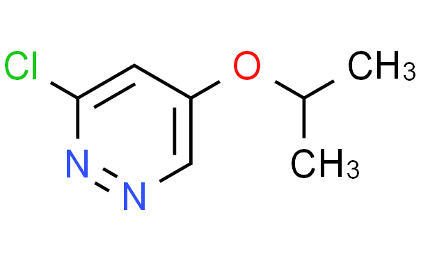 3-氯-5-异丙氧基哒嗪,1g