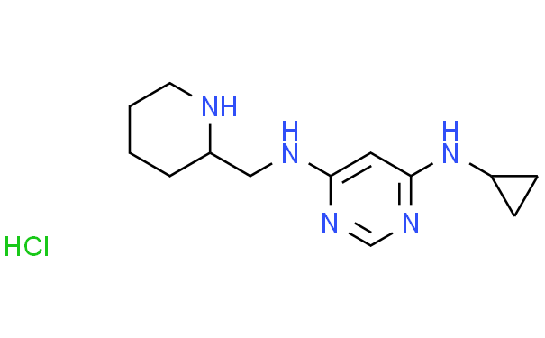 N-环丙基-N'-哌啶-2-基甲基-嘧啶-4,6-二胺盐酸盐,1g