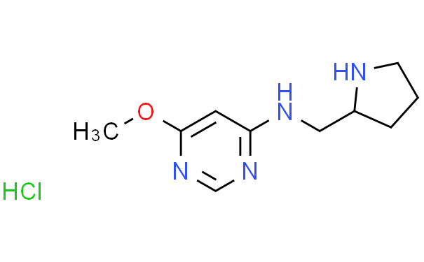 (6-甲氧基-嘧啶-4-基)-吡咯烷-2-基甲基-胺盐酸盐,1g