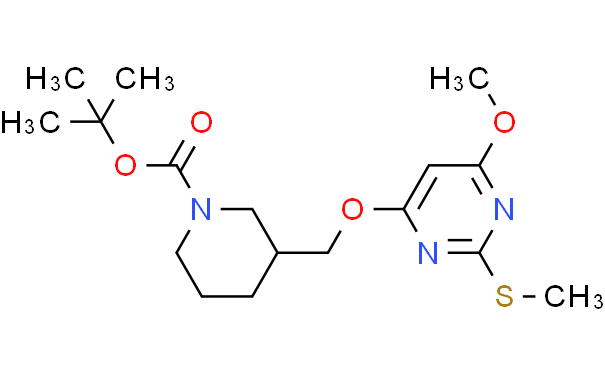 3-(6-甲氧基-2-甲硫基嘧啶-4-基氧基甲基)-哌啶-1-羧酸叔丁基酯,1g