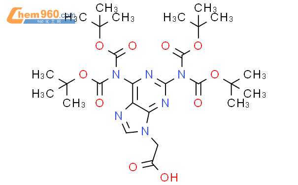 2-(2,6-双(双(叔丁氧羰基)氨基)-9H-嘌呤-9-基)乙酸,1g