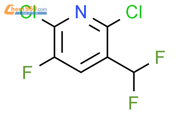 2,6-Dichloro-3-(difluoromethyl)-5-fluoro-pyridine,1g