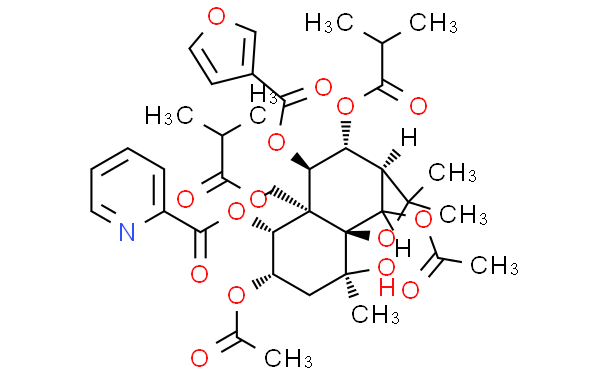 1β-Picolinoyloxy-2β,6α-diacetoxy-8β,13-diisobutanoyloxy-9α-furanoyloxy-4α-hydroxy-β-dihydroagarofuran