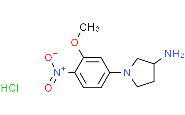 1-(3-甲氧基-4-硝基-苯基)-吡咯烷-3-基胺盐酸盐,1g