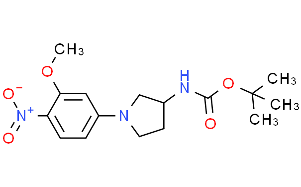 [1-(3-甲氧基-4-硝基-苯基)-吡咯烷-3-基]-氨基甲酸叔丁基酯,1g