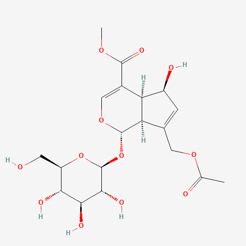 交让木苷、14260-99-2 CAS查询、交让木苷物化性质