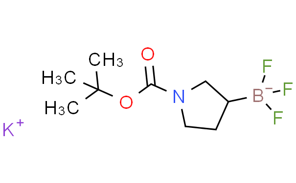 N-叔丁基酰基氮杂环戊烷三氟硼酸钾,1g
