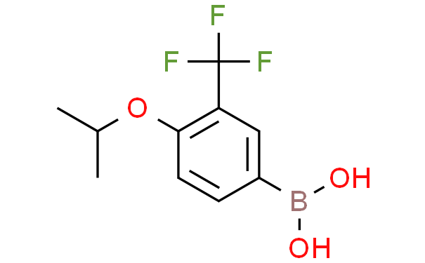 4-(异丙氧基)-3-(三氟甲基)苯基硼酸,1g