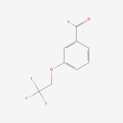 间三氟乙氧基苯甲醛、155908-58-0 CAS查询、间三氟乙氧基苯甲醛物化性质